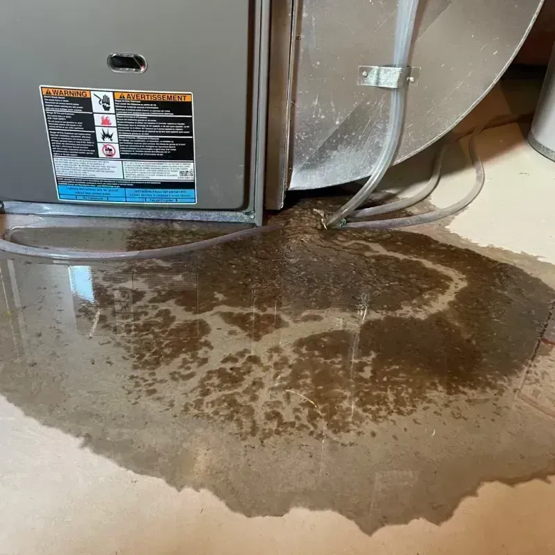 Appliance Leak Cleanup in Roane County, WV